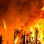 Orman yangınları teknolojiyle takip edilecek