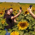 Samsun'a 'sarı' çok yakıştı! Kartpostallık manzaralar ortaya çıktı