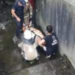 Sultangazi'de ot biçerken su kanalına düşen işçi yaralandı