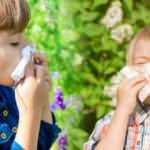 Uzmanı açıkladı: Alerjisi tedavisinde en güvenilir yöntem aşılama!