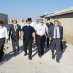 Aksaray Valiliği devreye girdi, 100 koyun hediye dildi