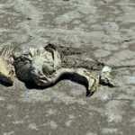 Bakan Pakdemirli'den flamingo &ouml;l&uuml;mleriyle ilgili a&ccedil;ıklama