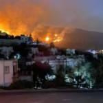 Bodrum'da makilik ve otluk alanda yangın
