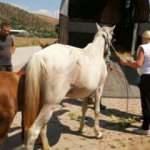 Bunun adı zalimlik! G&ouml;l sefası pahalıya patladı