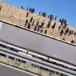 Niğde'de 100 düzensiz göçmen ihbarı gelmişti: 74'ü yakalandı