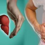 Siroz ve karaciğer yağlanması kansere yol açabiliyor!