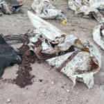 Son dakika: Afrin'de PKK vahşeti: 35 sivilin cansız bedeni bulundu