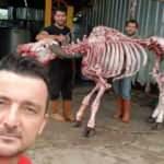 4 yıl önce fenomen olduğu ilginç kurban kesimini bu yıl da tekrarladı!