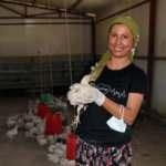 Adana’da ölüme terk edilen civcivler yeni yuvasında
