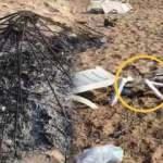 Bozcaada sahilinde parti yapan grup ortalığı talan etti!