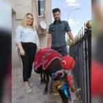 Erzurum&rsquo;da asırlardır s&uuml;regelen gelenek devam ediyor