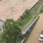 Rize yine sele teslim: Dereler taştı, yollarda hasar oluştu