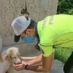 Trafik polisinin sokak köpeğine elleriyle su içirdiği görüntüler görenleri gülümsetti