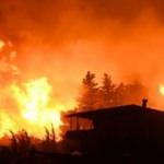 Antalya'nın Gazipaşa ilçesinde orman yangını başladı