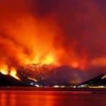 Orman yangınları neden çıktı? Kahreden ihtimal