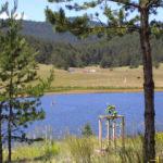 Eğriova Yaylası Ankara'nın 'nefesi' oldu