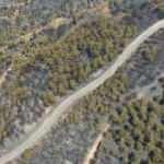 Kanal 7 Medya Grubu'ndan 5 bin adet fidan bağışı