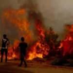 Manavgat'ta panik anları: Can havliyle kaçtılar