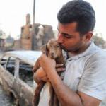 Manavgat'taki yangında alevlerin arasında doğan oğlağa 'mucize' adını verdiler