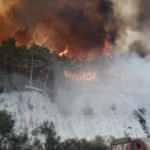 Marmaris'teki orman yangınıyla ilgili dikkat çeken iddia! İfade için pedagoglar bekleniyor