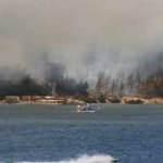 Orman yangınları sonrası Başkan Erdoğan'dan son dakika açıklaması