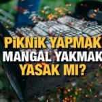 Piknik yapmak yasak mı? Hafta sonu piknik (mesire) alanlarında mangal yapmak yasak mı?