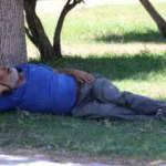 Sıcaktan bunalan adam gölgede uyuyunca ortalık karıştı
