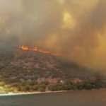 Orman yangınlarında ölü sayısı arttı