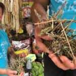 Koronavirüsün bıraktığı hasarlar için sinirli ot tüketiliyor!