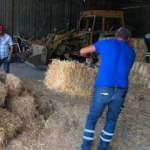 Yangında zarar gören çiftçilere yardım eli