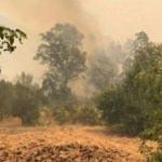 Bakan Bilgin'den yangın bölgeleri için 'prim borcu' açıklaması