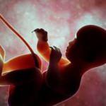 ABD'de skandal deney: Kürtaj ile alınan canlı bebekleri ölüme terk ettiler