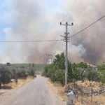 Antalya'nın Demre ilçesindeki orman yangını söndürüldü