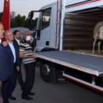 Bursa'dan  6 TIR yardım malzemesi yangın bölgeleri için yola çıktı