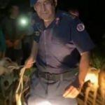 Cesur komutandan duygulandıran hareket: Ke&ccedil;ileri b&ouml;yle yanmaktan kurtardı!