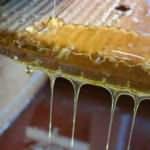 Donduğunda kristalleşen bala dikkat! Hemen çöpe atın