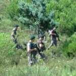 Kartal ve Beykoz'daki ormanlarda denetim