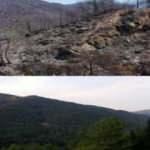 Marmaris’in yangın öncesi ve sonrası havadan görüntülendi	