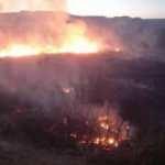 Nallıhan Kuş Cenneti’ndeki yangın kontrol altında