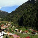 Yeşili hissetmek isteyenler Karadeniz'e akın etti