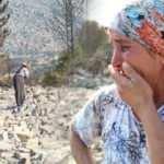 Kardeşine yardıma gitti, döndüğünde evi ve 120 koyunu telef olmuştu