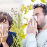 Saman nezlesi hastalığında yeni tedavi yöntemi!