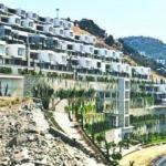 CHP'li belediyelerin talan ettiği ormanlar