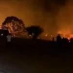 Didim'de 5 d&ouml;n&uuml;m makilik alan yandı