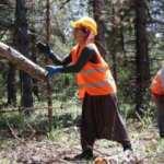 Mevsimlik orman işçileri kadro müjdesi bekliyor