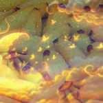 Rüyada muz görmek ne demek? Rüyada çürük muz görmek ne anlama gelir?