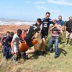 Selin vurduğu Ayancık'ta  6 kişinin cansız bedenine ulaşıldı