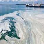 TBMM'nde m&uuml;silaj i&ccedil;in acil &ccedil;ağrı: Deniz &ouml;l&uuml;yor, zamanı yok