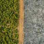 Bakanlık'tan ormanlar için 'hayat koridoru' kararı