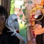 13 yıl önce kredi çekerek aldığı papağanını bir an olsun yanından ayırmıyor!